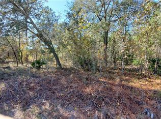 18083 Necklace Warbler Ave, Weeki Wachee, FL 34614