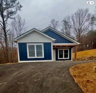 113 W 31st St, Buena Vista, VA, 24416