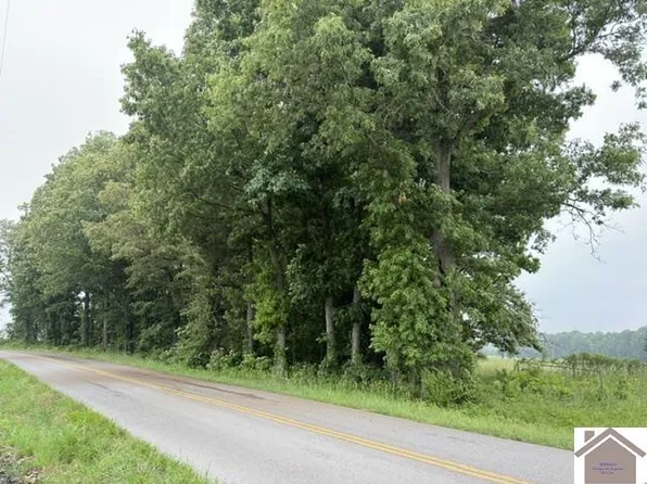 0 Taylor Store Rd, Murray, KY 42071
