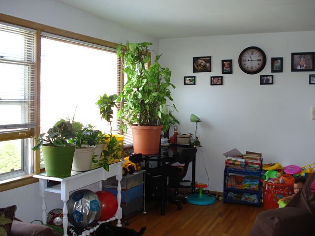 1st image of 3174 W Meadow Lane Dr APT 33