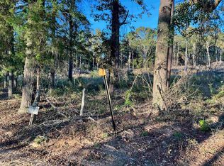 13805 County Road 291, Tyler, TX 75707