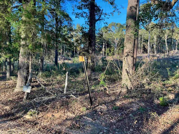 13805 County Road 291, Tyler, TX 75707