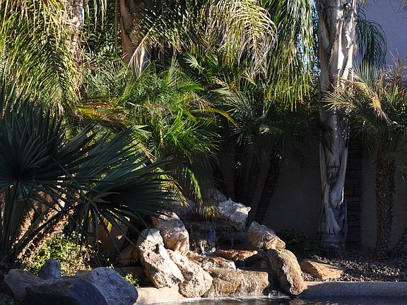 Resort backyard