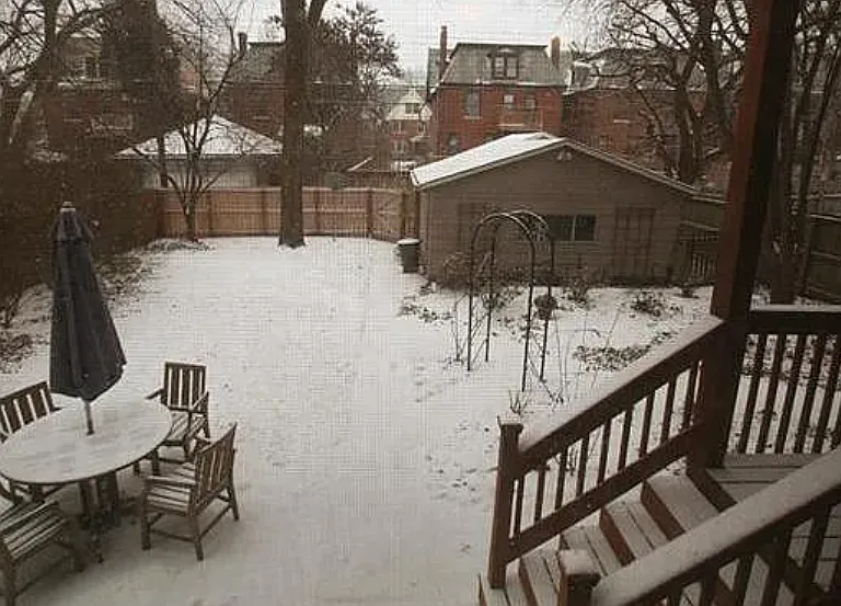Fenced Backyard