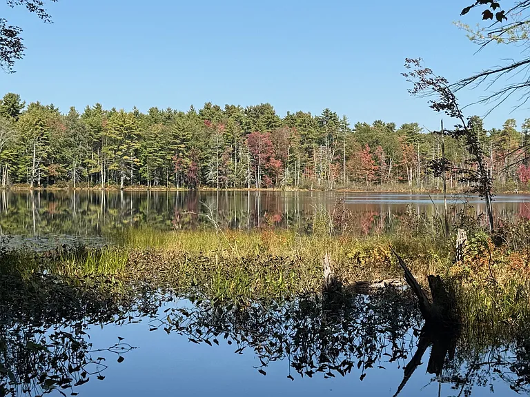 Anglers Point — Photo 30