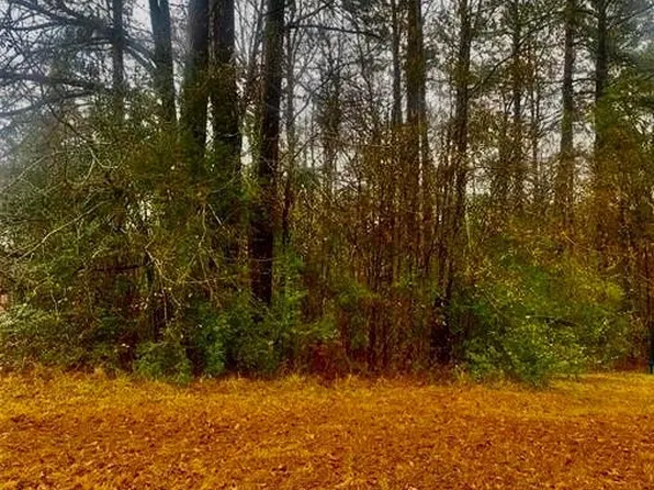 184 Wildwood Dr, Pineville, LA 71360