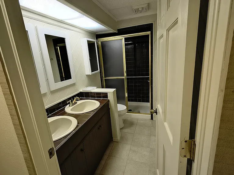 Downstairs Bathroom with Double Sinks and Large Shower