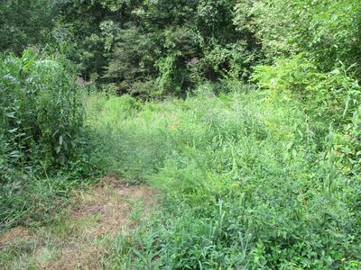 0 Hardtime Dr, South Shore, KY, 41175