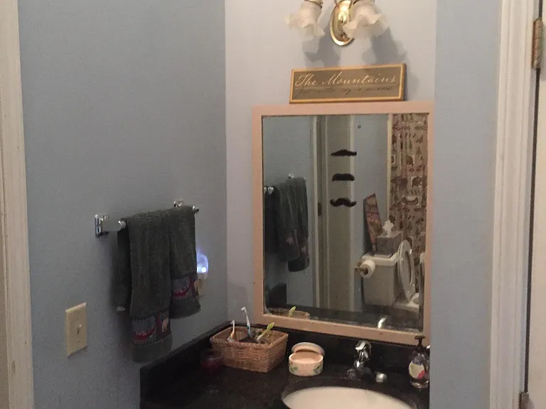80 Bobcat Ln — Photo 6