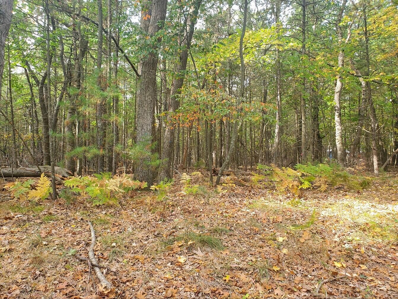 6917 S Lakeshore Dr, Pentwater, MI 49449 Zillow