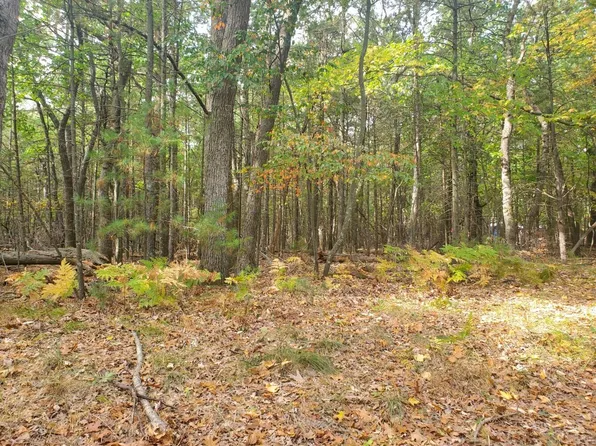 6917 S Lakeshore Dr, Pentwater, MI 49449