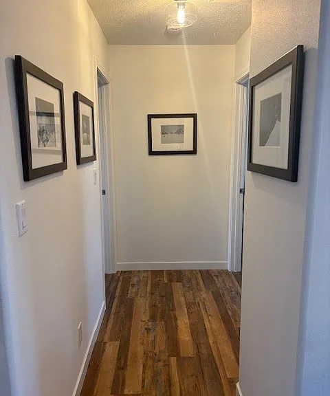 Hallway to bedrooms and bathrooms