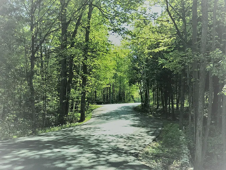 Enjoy your beautiful rental and this lovely community in the heart of Fish Creek, in Door County.

This is is the road to my tree house condominium!