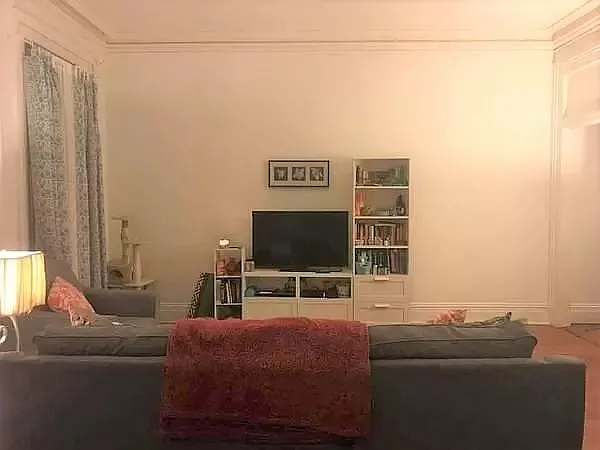 1 bed, 850 sqft, $1,250 — Photo 3