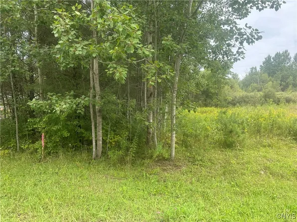40669 Texas Rd #11, Carthage, NY 13619