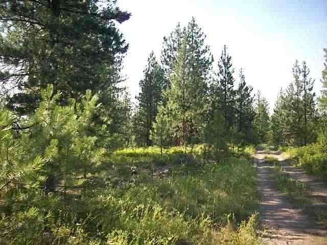 2nd image of 4921 Highway 231