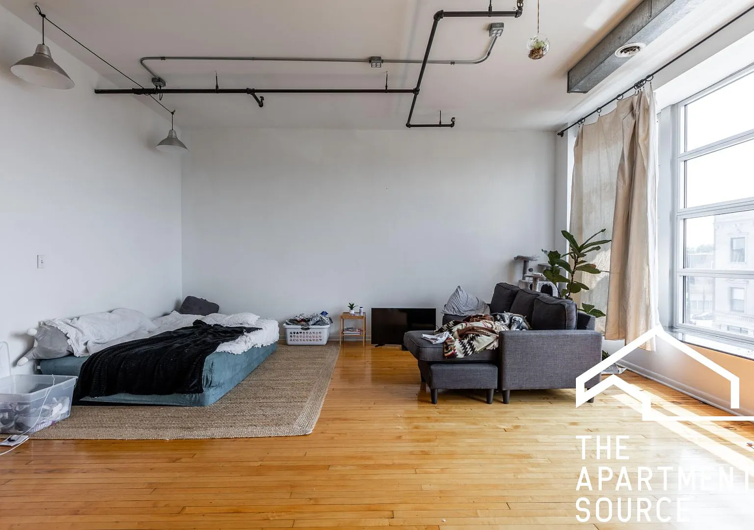 1 bed, 1600 sqft, $2,885 — Photo 3