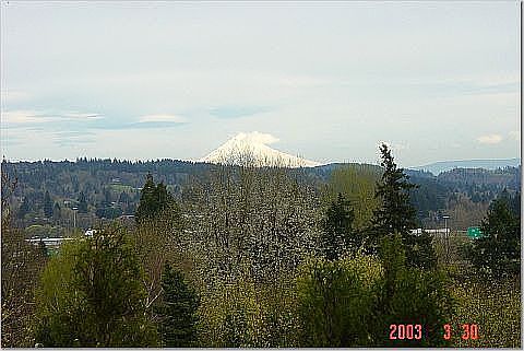 Mt. Hood