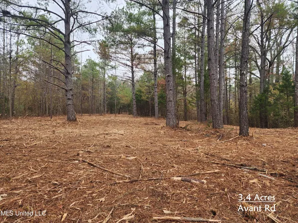 Avant Rd Lot 76, Holly Springs, MS 38635