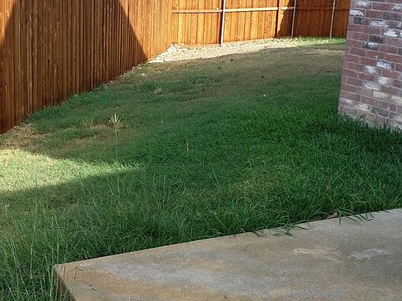 Fenced yard