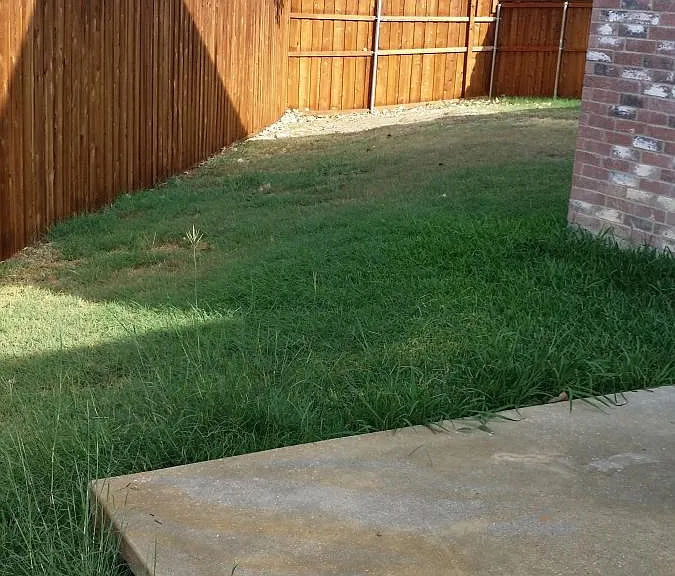 Fenced yard