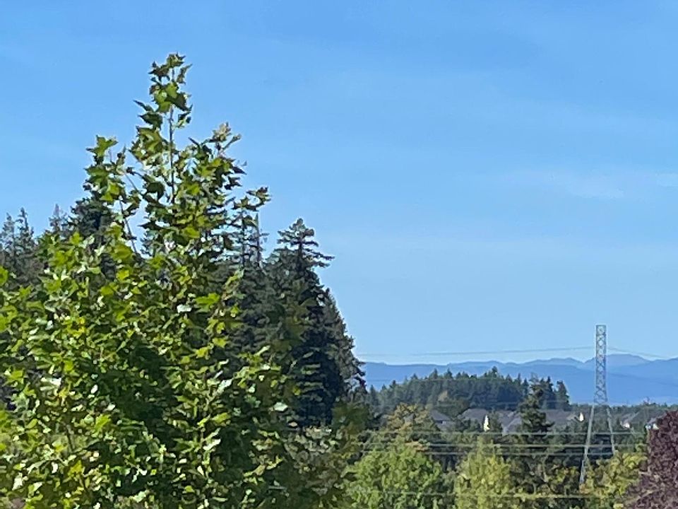 view from front porch