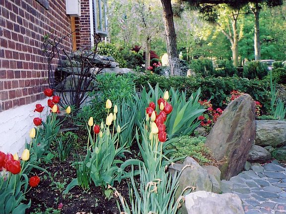 Front Yard