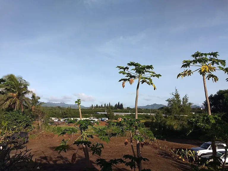 41477 Kuhio Hwy #1 — Photo 6