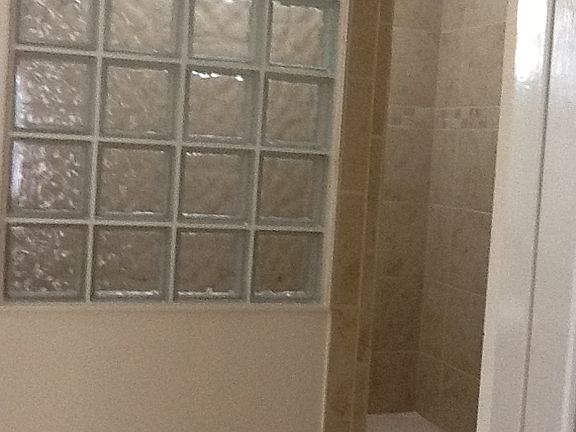 Master bath walk in shower 