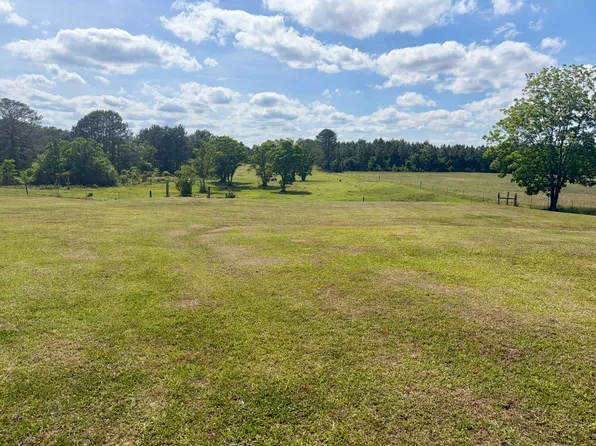 10954 McKenzie Grade Rd, Georgiana, AL 36033