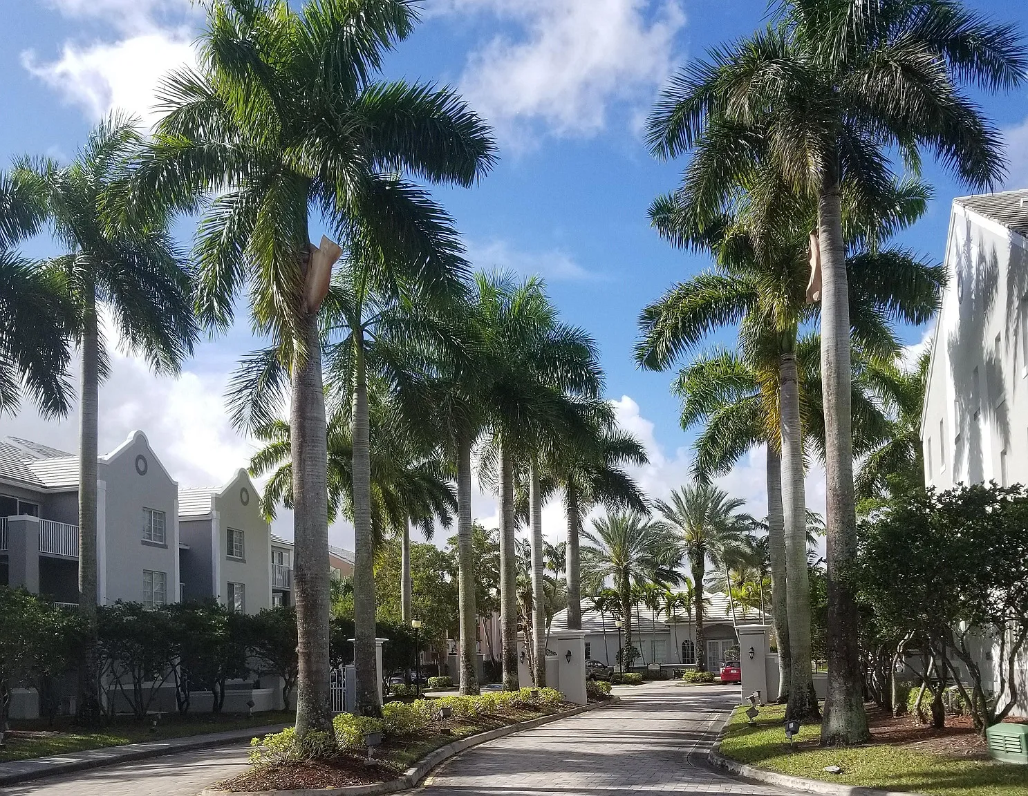 1 bed, 820 sqft, $1,910 — Photo 3