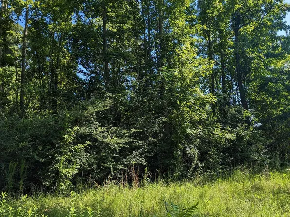0 Scotland Rd, Alamo, GA 30411