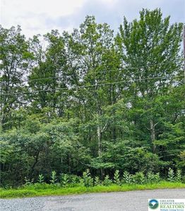 LOT A107 Chippy Cir, Jim Thorpe, PA, 18229