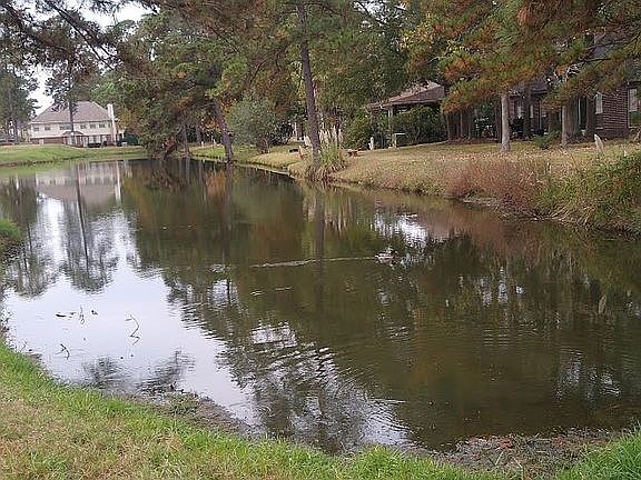 5th image of 8522 Malardcrest Dr