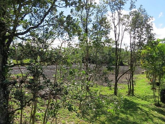 2nd image of 11th Avenue Kika Lot 1413