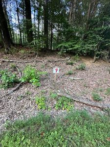 7 Sales Landing Rd, Camden, TN, 38320