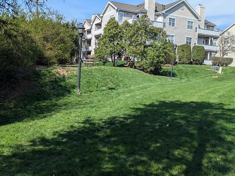 14324 Climbing Rose Way #103 — Photo 18
