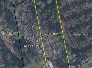 3829 Gillison Branch Rd, Pineland, SC 29934