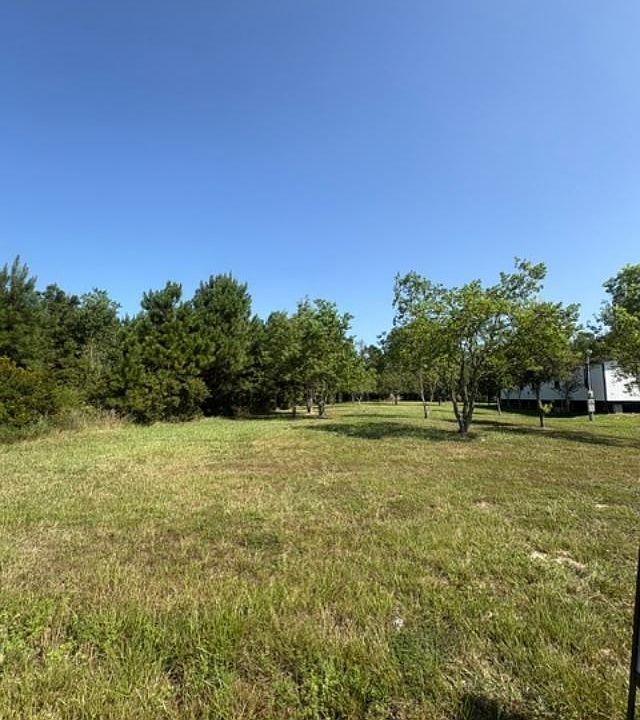 2nd image of 2377 County Road 3550