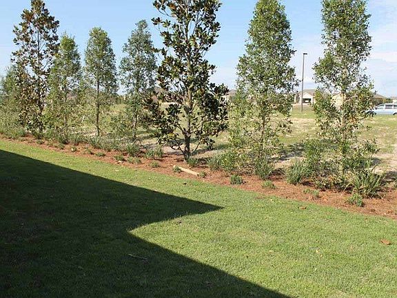 9871 SW 75th Loop -  Backyard View