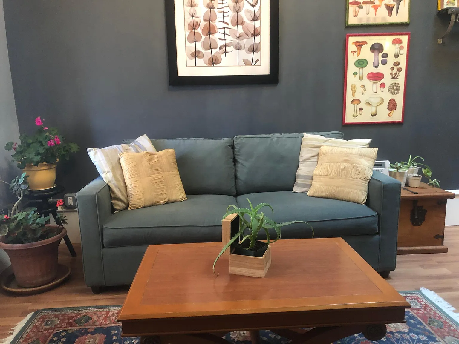 1 bed, 425 sqft, $2,745 — Photo 3