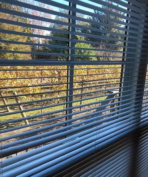 vineyard view from bedroom 3
