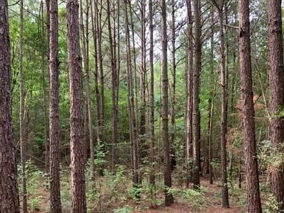 5th image of Simpson Rd