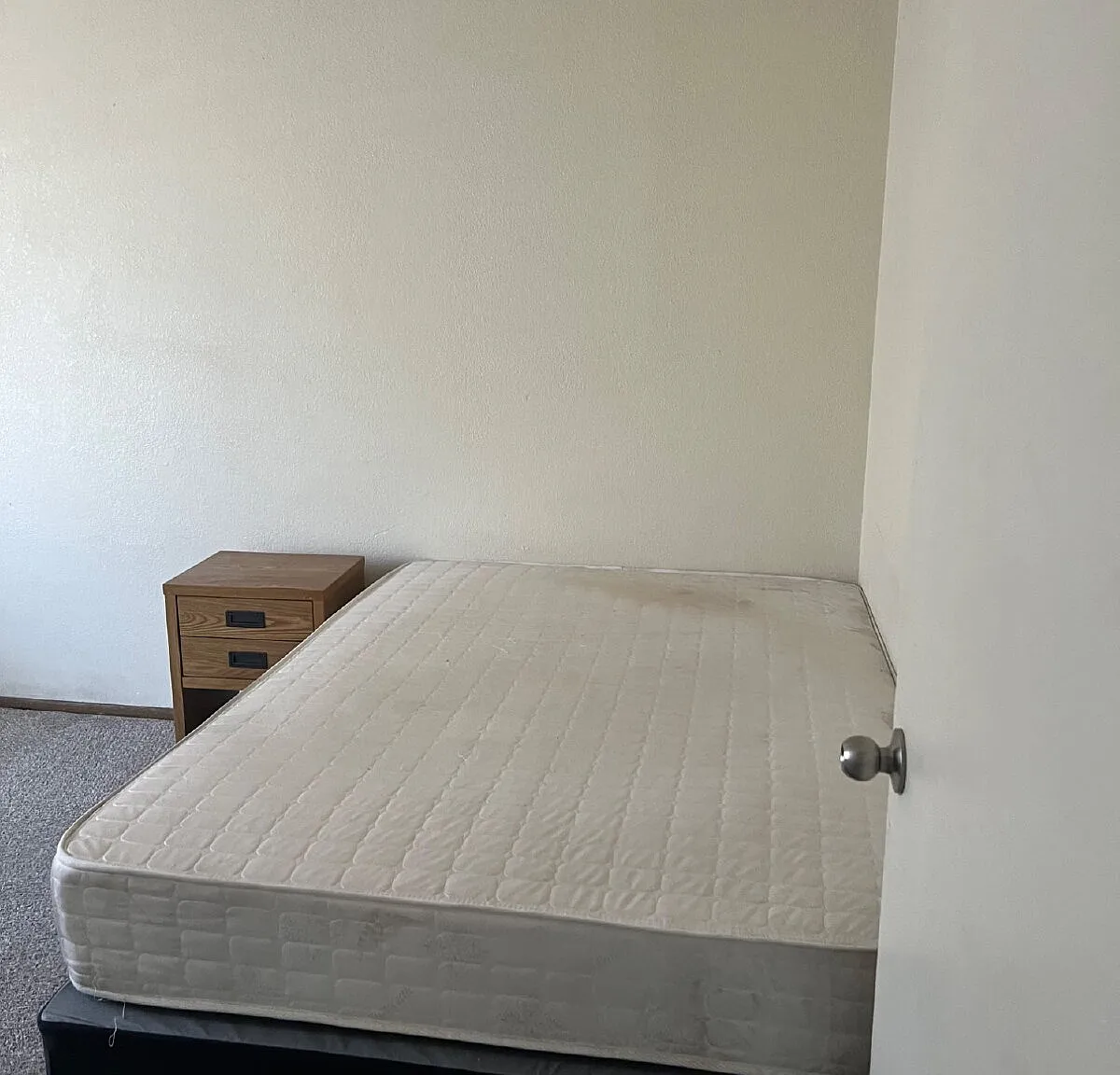 1 bed, 1.0 bath, $550 — Photo 2