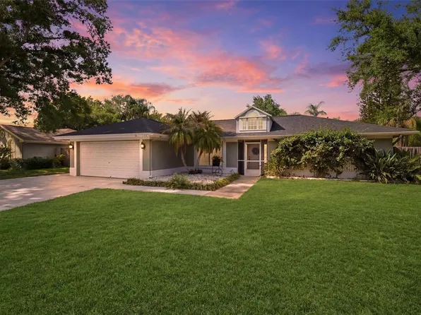 10424 Tara Dr, Riverview, FL 33578