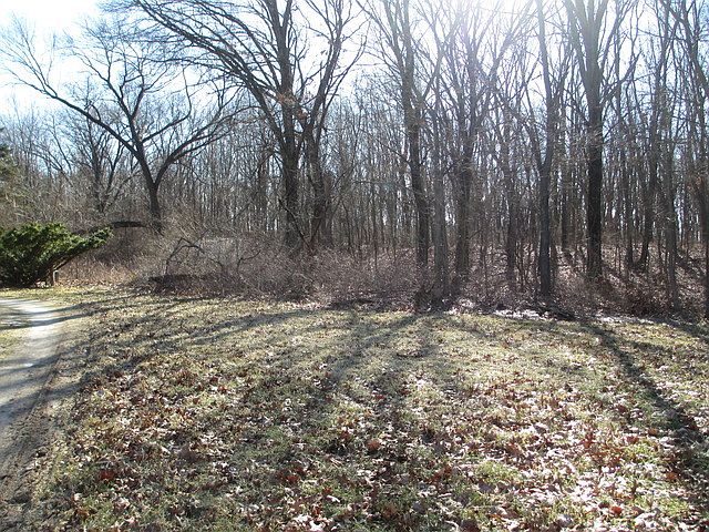 1st image of 36205 Irish Ln