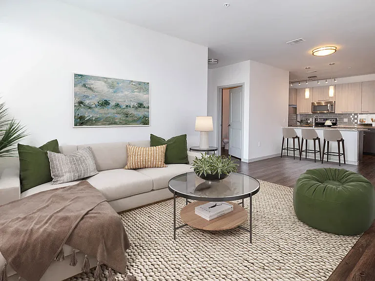 Living Area and Kitchen with Hard Surface Flooring