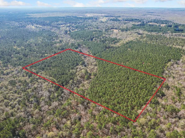 473 County Road 2125, Cleveland, TX 77327