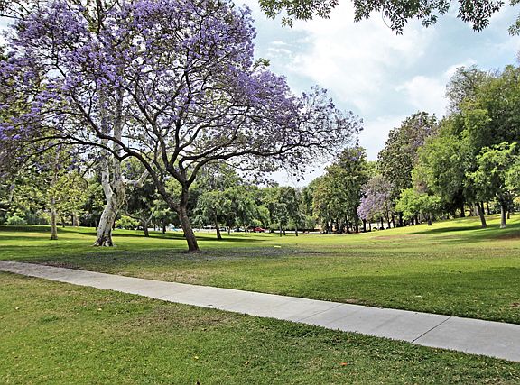 5th image of 3804 Country Club Dr