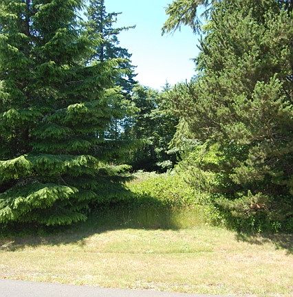 3rd image of 575 Chinook Ave SE